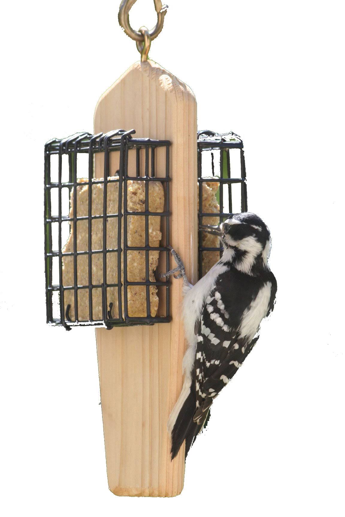 Birds Choice Double Cake Hanging Suet Feeder