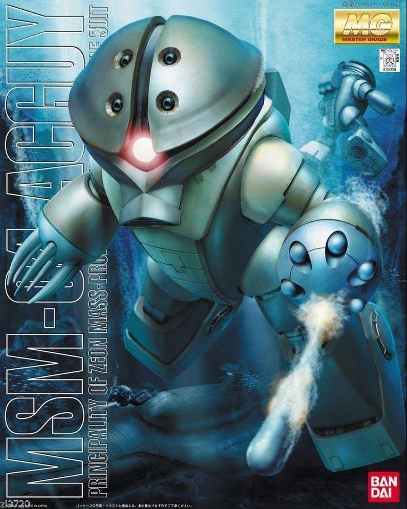 Gundam MSM-04 Acguy mg 1/100 Scale