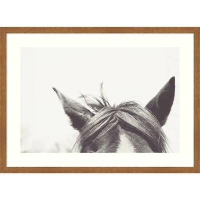 Listen by EMI and Mark Franzen - Picture Frame Photograph Print on Paper Birch Lane Frame Color: Blonde, Size: 19x22 H x 26x22 W