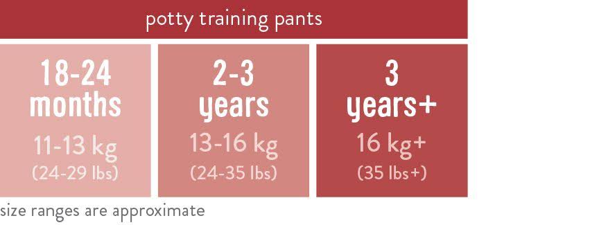 Bambino Mio, Potty Training Pants, Mixed Boy, Dino 18-24 Months (5 Pack)