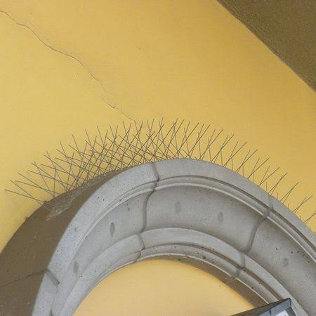 Bird Barrier BP-F350 Bird Repellent Spikes, 50 ft.