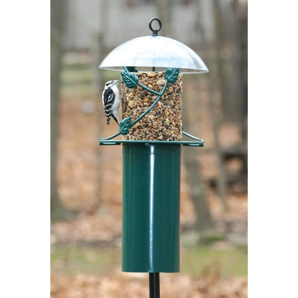 Birds Choice Pole Mounted Seed Cylinder Feeder with Squirrel Baffle
