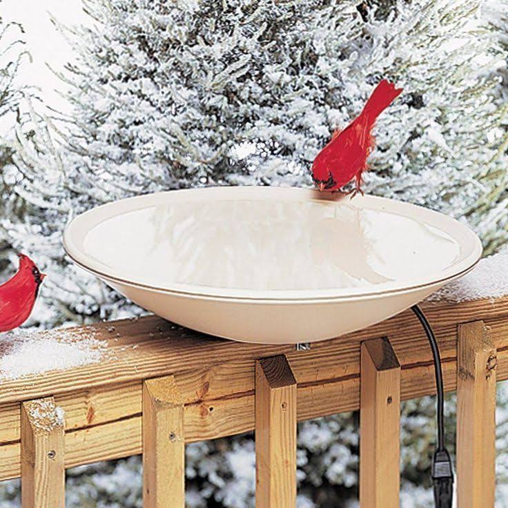 Allied Precision 20x22 Heated Bird Bath with Stand