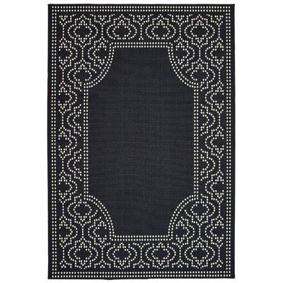 Quintin Plaid Black/Ivory Indoor/Outdoor Area Rug Birch Lane Rug Size: Rectangle 3&7x22 x 5&6x22