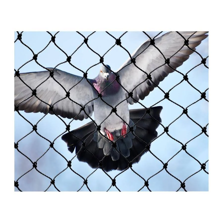 Bird x Heavy-Duty Bird Netting, 25 ft. x 50 ft. NET-PE-25-50