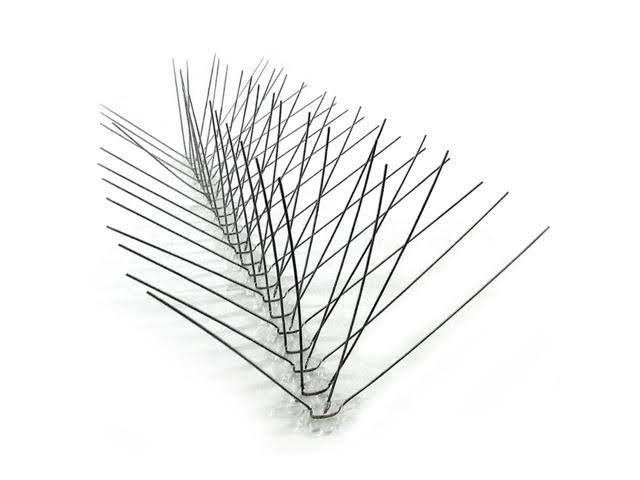 Bird-X Stainless Steel Bird Spikes, 24&