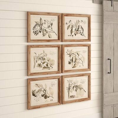 Fruit Bearing Branch - 6 Piece Picture Frame Graphic Art Print Set on Paper Gracie Oaks