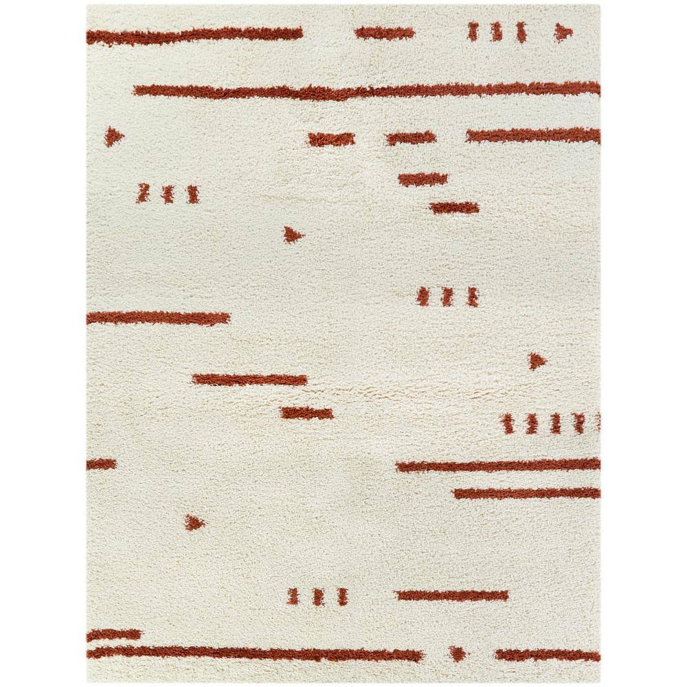 BALTA Dalmas Burnt Orange 5 ft. x 7 ft. Modern Shag Area Rug
