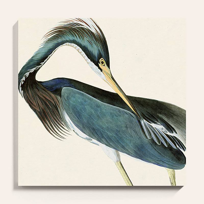 Sea Heron Stretched Canvas 24x22 x 24x22 - Ballard Designs
