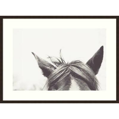 Listen by EMI and Mark Franzen - Picture Frame Photograph Print on Paper Birch Lane Frame Color: Espresso, Size: 25x22 H x 34x22