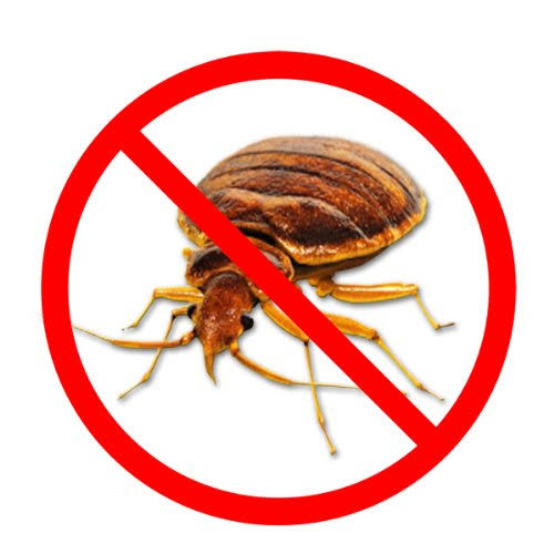 Bird-X Bed Bug Alert, Bulk, 144 Pack