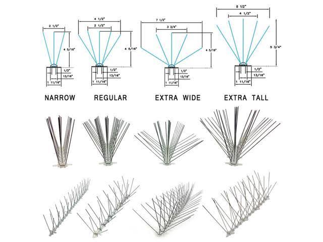 Stainless Steel Bird Spikes, 50 Feet - Bird-X - STS-50