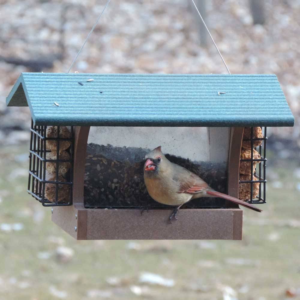 Birds Choice 4 Quart 2-Sided Recycled Hopper Bird Feeder