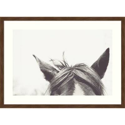 Listen by EMI and Mark Franzen - Picture Frame Photograph Print on Paper Birch Lane Frame Color: Brown, Size: 19x22 H x 26x22 W