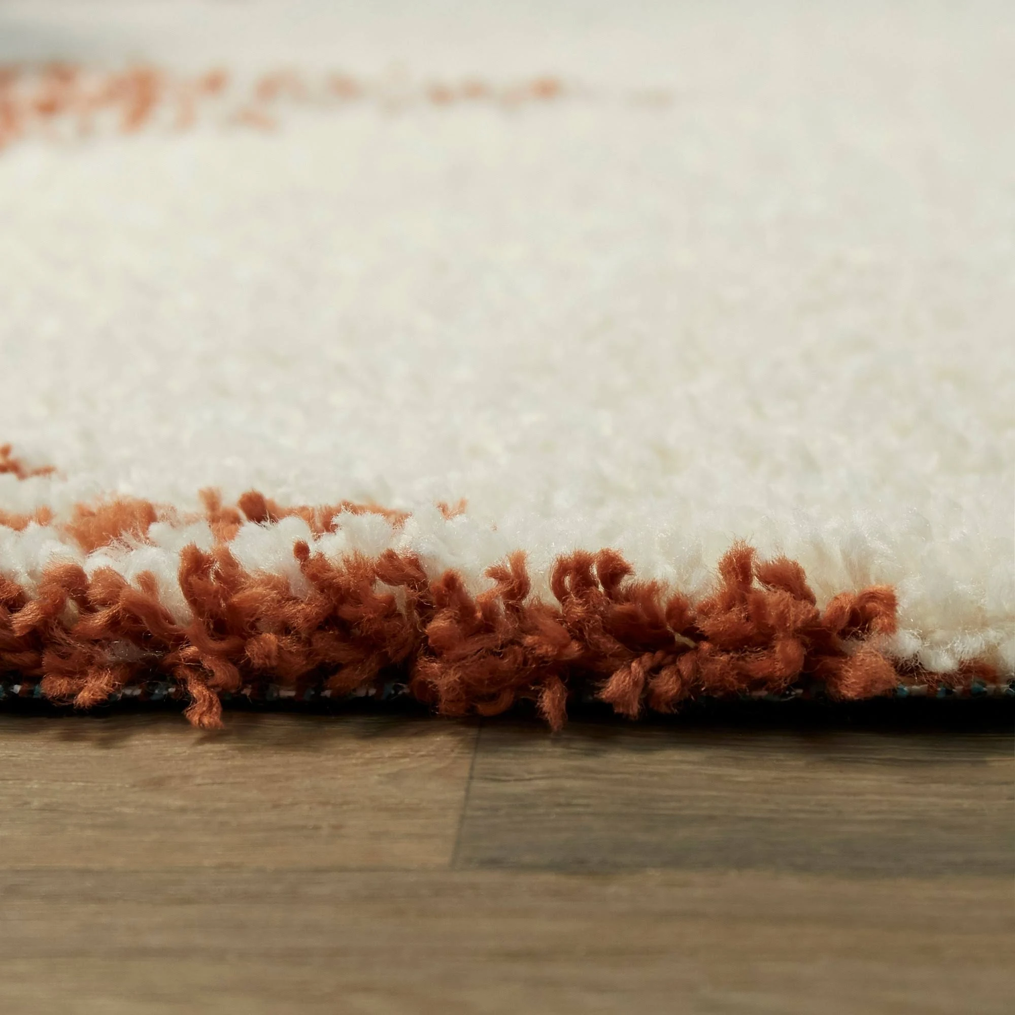Balta Hughes Burnt Orange 5 ft. x 7 ft. Striped Shag Area Rug