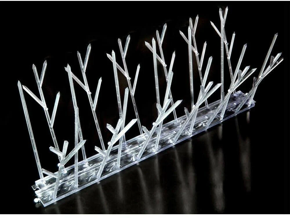 Bird-X Bird Spikes 50-ft Bird Repellent | SP-50