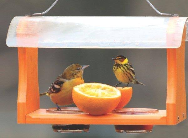 Birds Choice Recycled Oriole Feeder