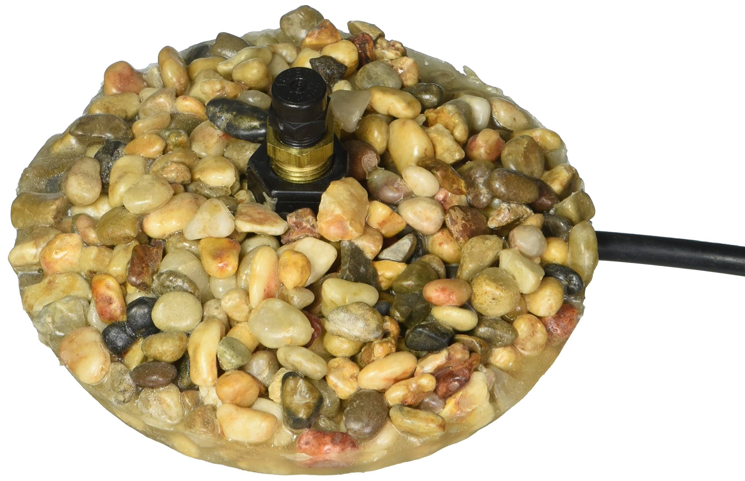 Birds Choice AAM430P Avian Mister with Pebble Base