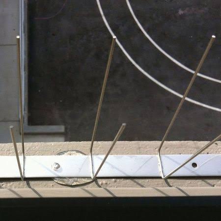 Bird Barrier BP-F150 Bird Repellent Spikes, 50 ft.