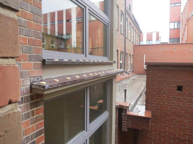 Bird Barrier Optical Gel TF-BG25 Bird Repellent Gel,2x22 L,pk24