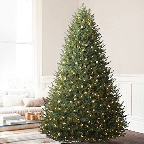 Balsam Hill BH Balsam Fir Premium Prelit Artificial Christmas Tree 7.5 Feet Clear Lights