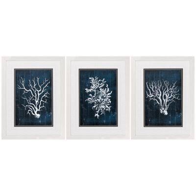 Wood Coral - 3 Piece Picture Frame Graphic Art Print Set on Paper