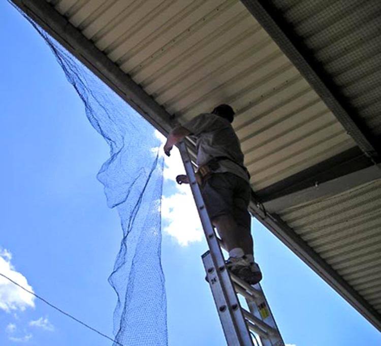 Bird-X NET-STR-200 200 ft. x 14 ft. STRUCTURAL Bird Netting