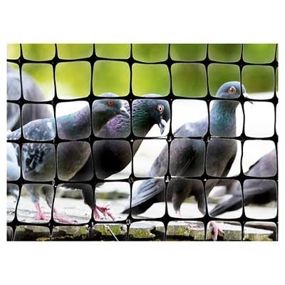 Bird-X Standard Bird Net, 100 by 14-Feet