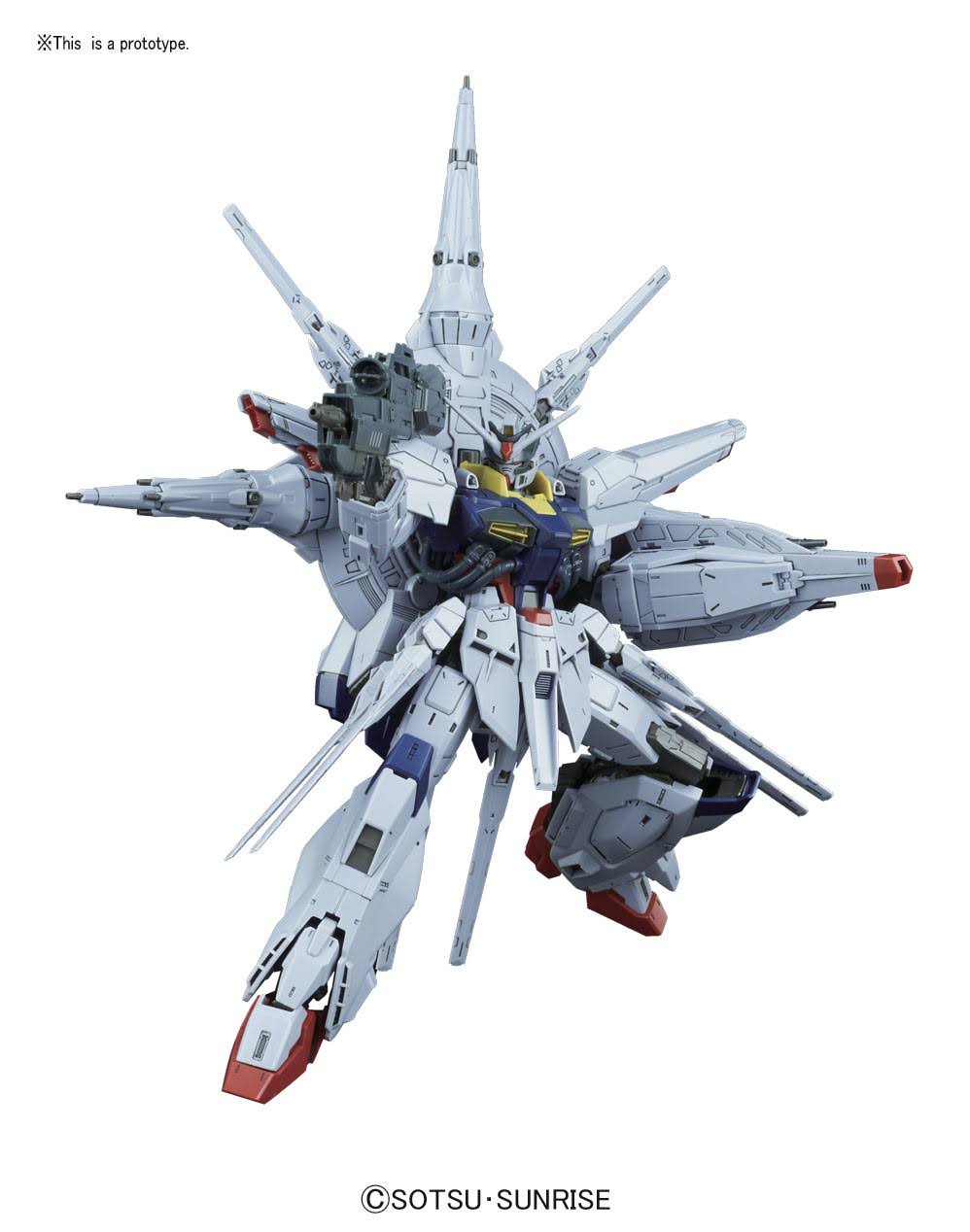 Gundam mg 1/100 Providence Gundam Premium Edition