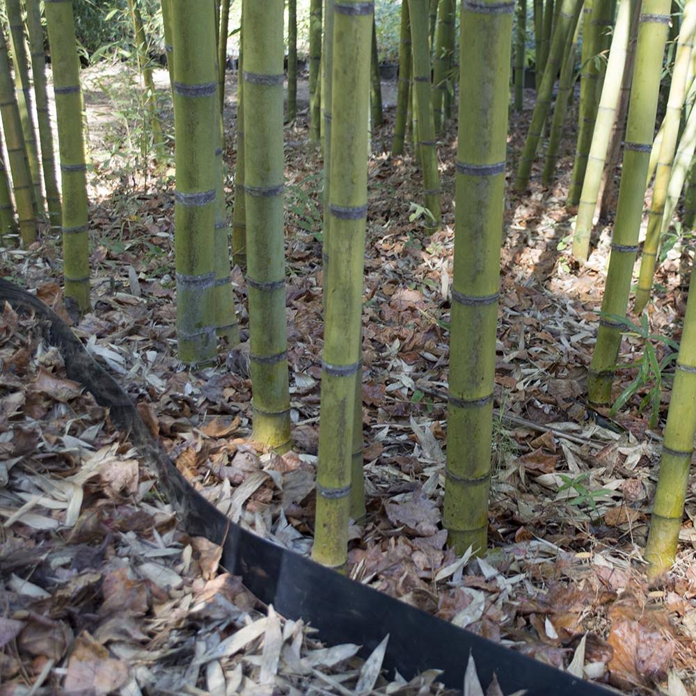 Bamboo Shield - 175 Feet Long x 24 inch x 60 Mil - Bamboo Root Barrier/Water Barrier