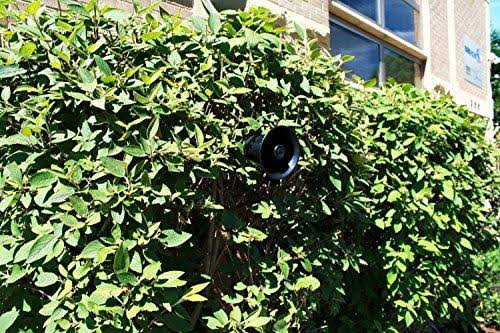 Bird-X GB-1 Electronic Goose Repeller,Cov. 1.5 Acres