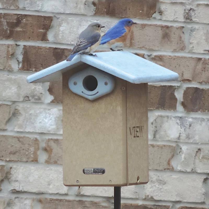 Birds Choice SNULTCAM Recycled Ultimate Bluebird House with Camera