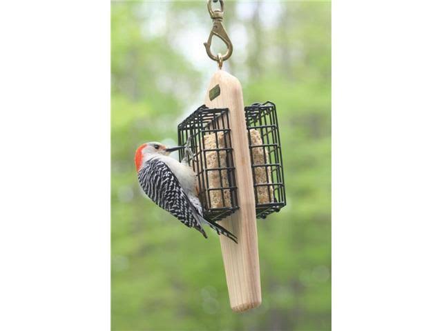 Birds Choice Double Cake Hanging Suet Feeder