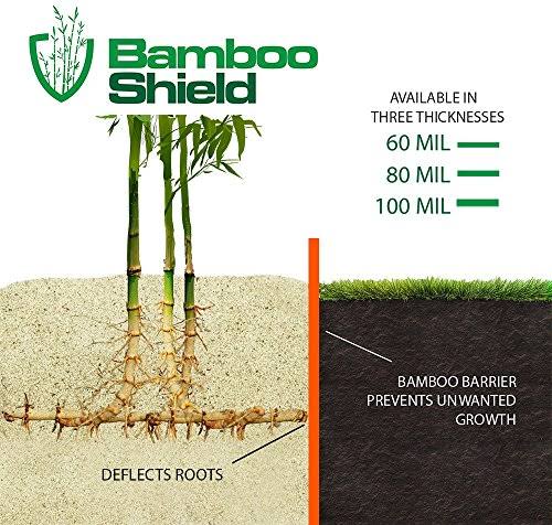 Bamboo Shield - 75 Feet Long x 24 inch x 60 Mil - Bamboo Root Barrier/Water Barrier
