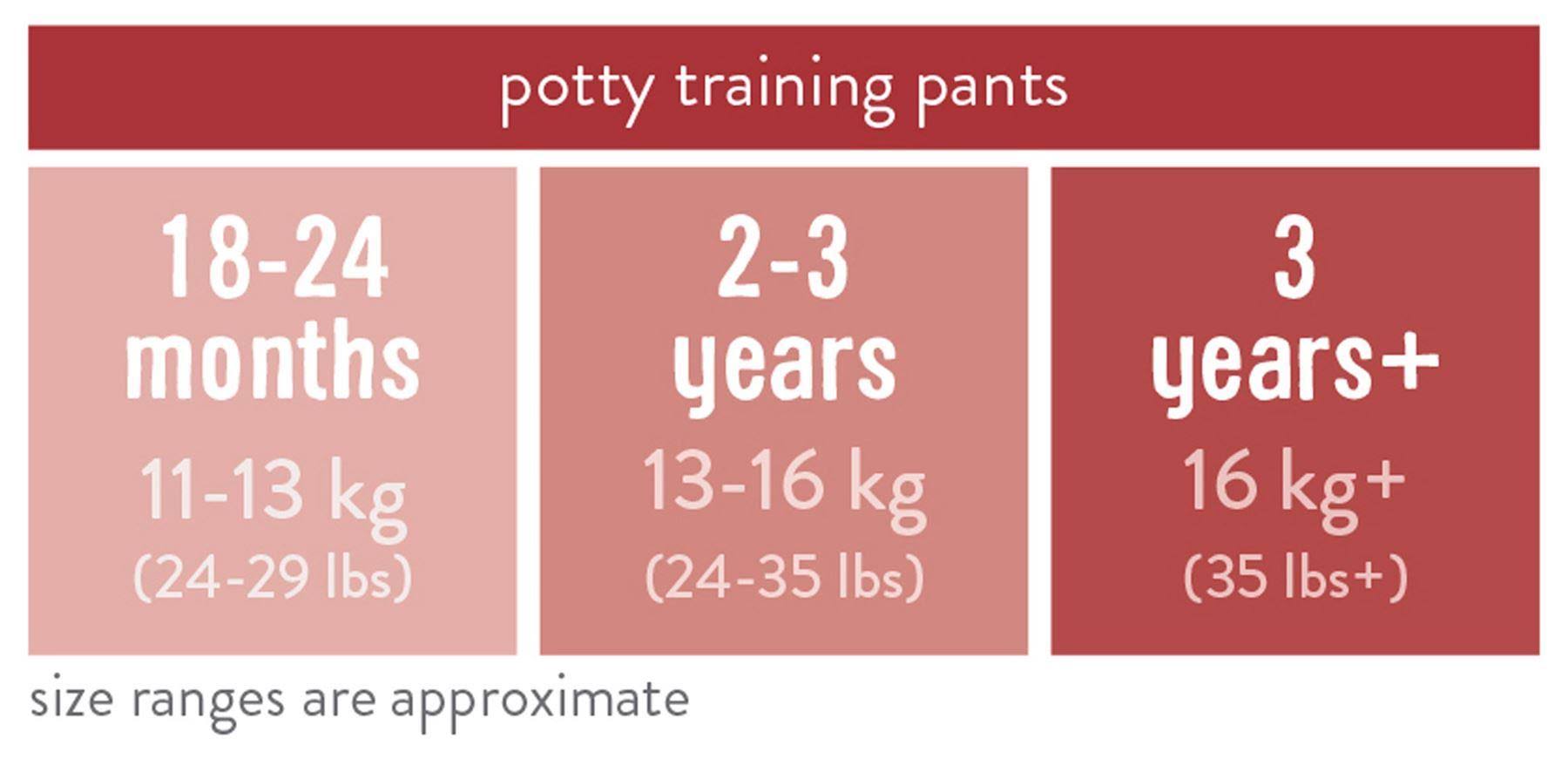 Bambino Mio Potty Training Pants, Lilac, 2-3 Years