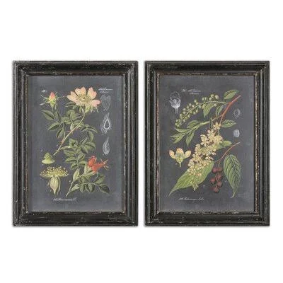 &Midnight Botanicals& by Vision Studio - 2 Piece Picture Frame Graphic Art Print Set on Wood Laurel Foundry Modern Farmhouse