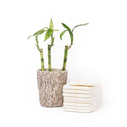 Andy Pandy Premium Bamboo Disposable Diapers, Small, 94 Count.