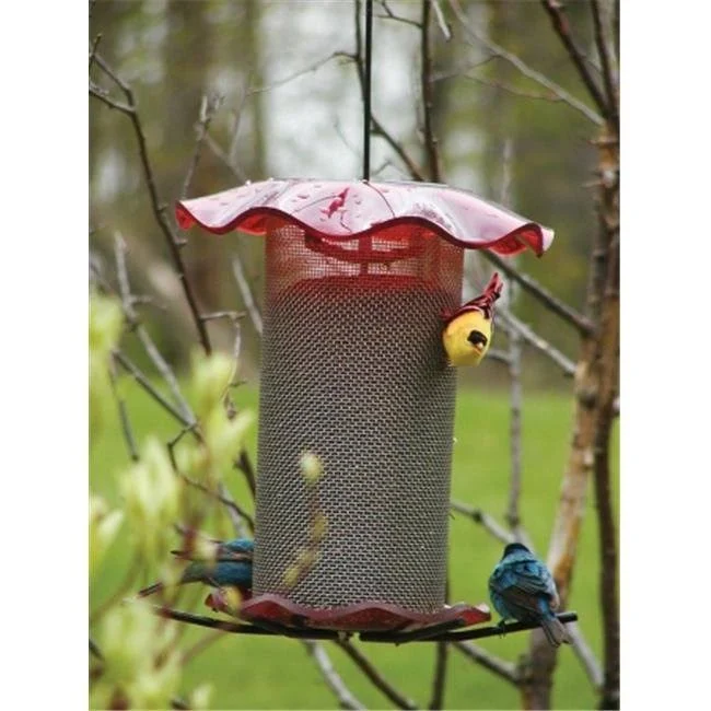 Birds Choice 3 Qt. Forever Nyjer Feeder