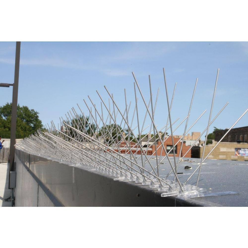 Stainless Steel Bird Spikes, 50 Feet - Bird-X - STS-50