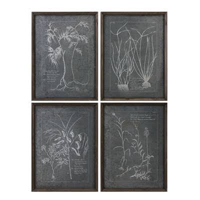 &Root Study& by Grace Feyock - 4 Piece Picture Frame Graphic Art Print Set on Paper Laurel Foundry Modern Farmhouse