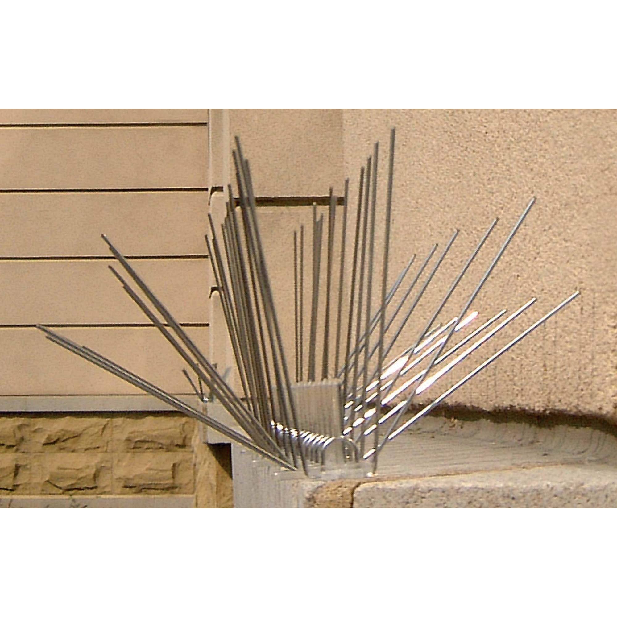 Bird-X EWS-50 Extra Wide Stainless Steel Spikes,50Ft.