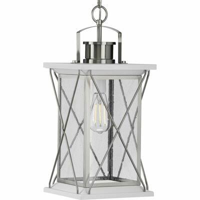 Barlow Stainless Steel 1-Light Outdoor Hanging Lantern Fixture Finish: Stainless Steel