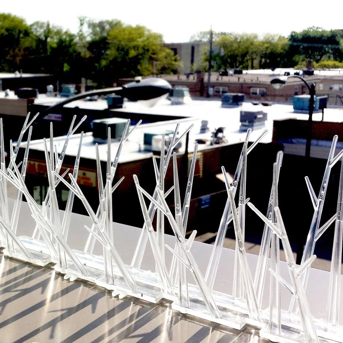 Bird-X Bird Spikes 50-ft Bird Repellent | SP-50