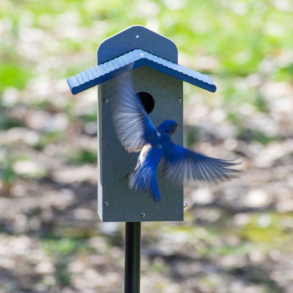 Green Solutions Recycled Bluebird House