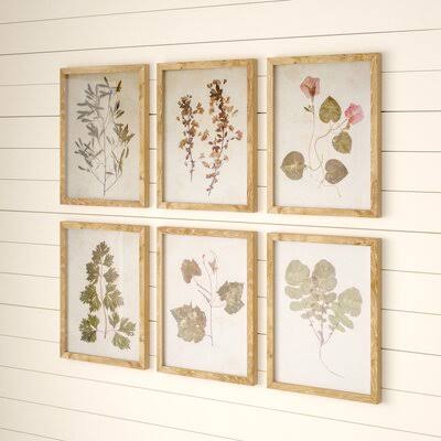 'Leaf' - 6 Piece Picture Frame Graphic Art Print Set on Paper Gracie Oaks