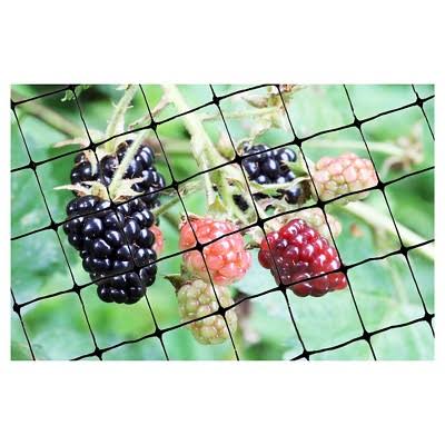 Bird-X Standard Bird Net, 100 by 14-Feet