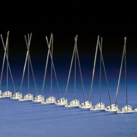 Bird Barrier BP-F150 Bird Repellent Spikes, 50 ft.