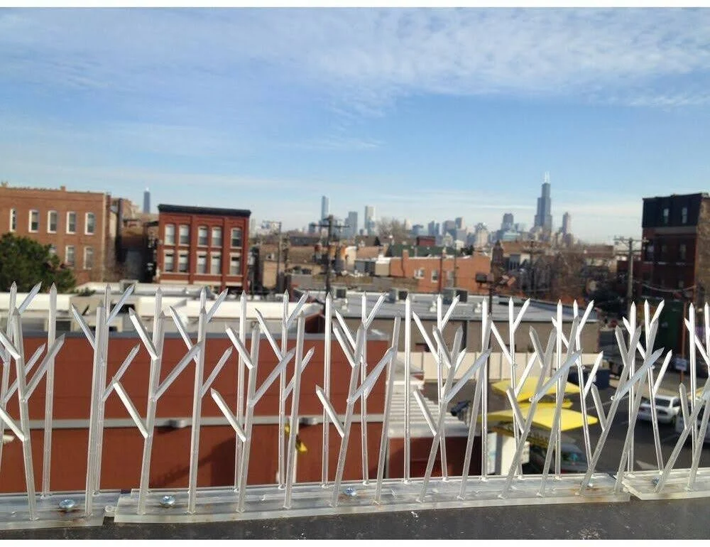 Bird-X Bird Spikes 50-ft Bird Repellent | SP-50