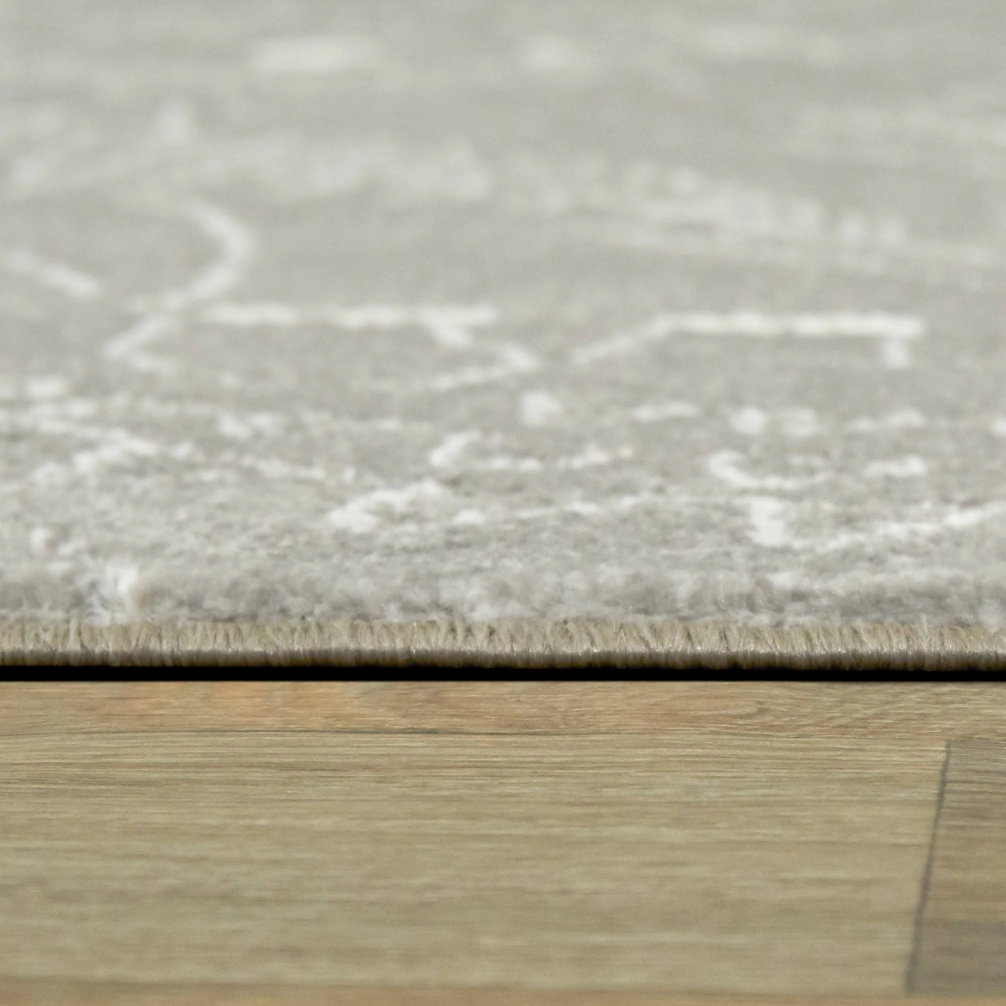 Balta Parker Dinosaur Grey 4 ft. x 6 ft. Area Rug