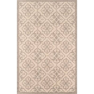 David Handmade Hooked Taupe Indoor / Outdoor Rug Birch LANE? Rug Size: Rectangle 5' x 8'